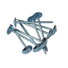 Popular Umbrella Head of All Sizes Roofing Nail